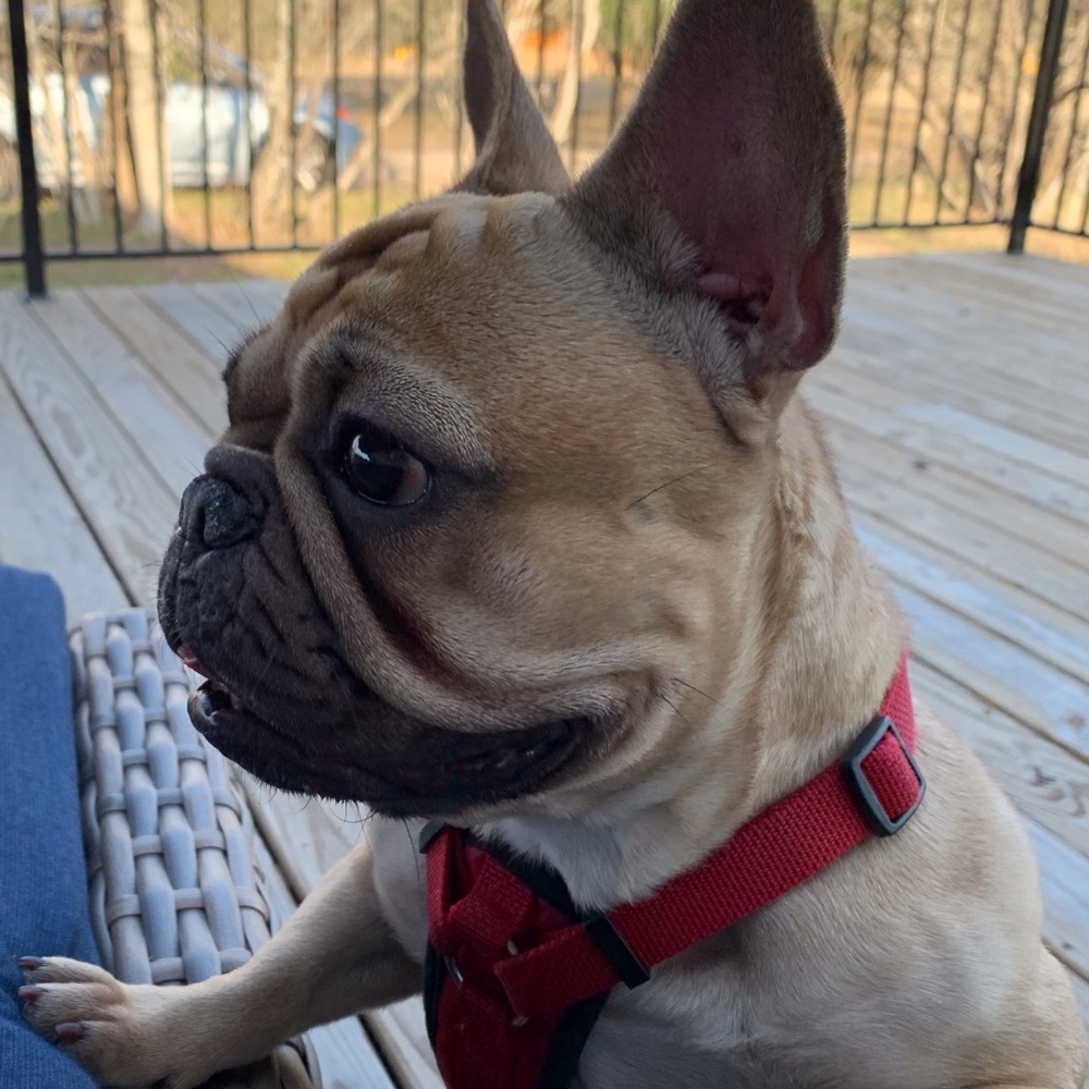 Meet your Posher, Madelaine